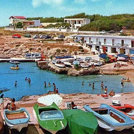 Arancio Leporano